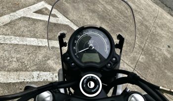 TRIUMPH SCRAMBLER 900 2025 full